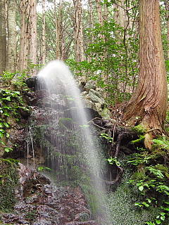 �����s����