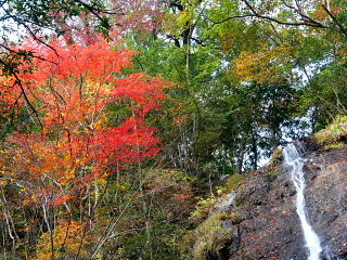 �}�ؕs����@����